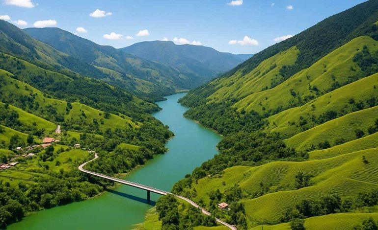 Deforestación: Cornare logra la cifra más baja