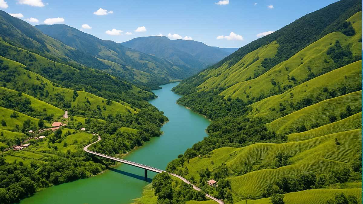 Deforestación: Cornare logra la cifra más baja