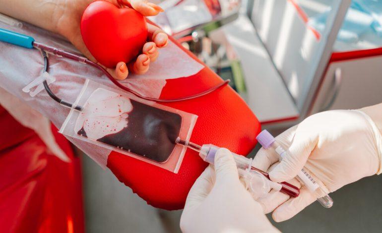 Donación de sangre: nueva jornada en Rionegro