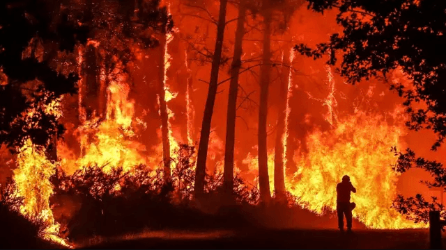 Incendios forestales: Tolima al límite con 304 focos