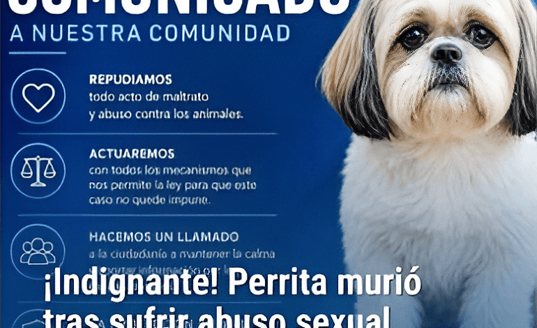 Zona rural de San Roque, Antioquia, municipio donde se reportó un caso de maltrato animal