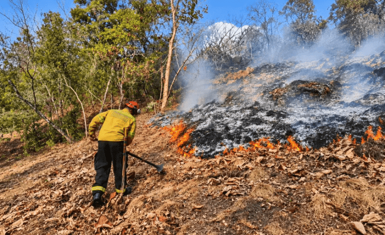 Incendios forestales en Colombia: cinco focos activos movilizan a bomberos y Fuerza Aeroespacial