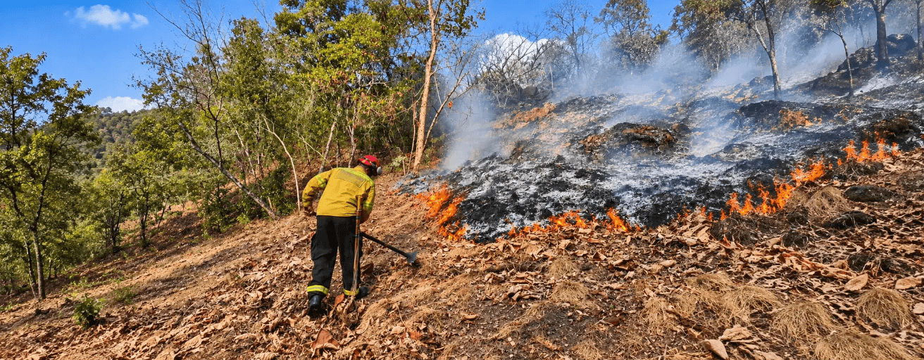 Incendios forestales en Colombia: cinco focos activos movilizan a bomberos y Fuerza Aeroespacial