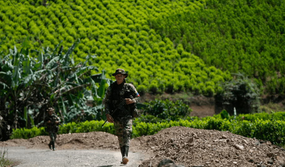 Descertificación de Colombia en lucha antidrogas se mantiene, pero Estados Unidos preserva asistencia económica