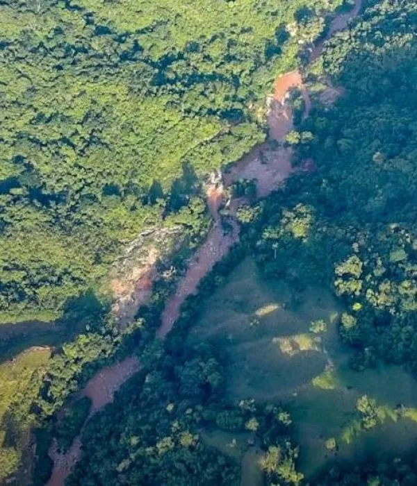 Mina ilegal en Antioquia produciría $1.300 millones al mes