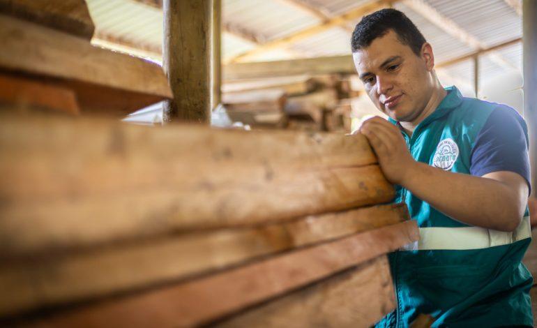 Madera decomisada: 100 metros cúbicos con fin claro