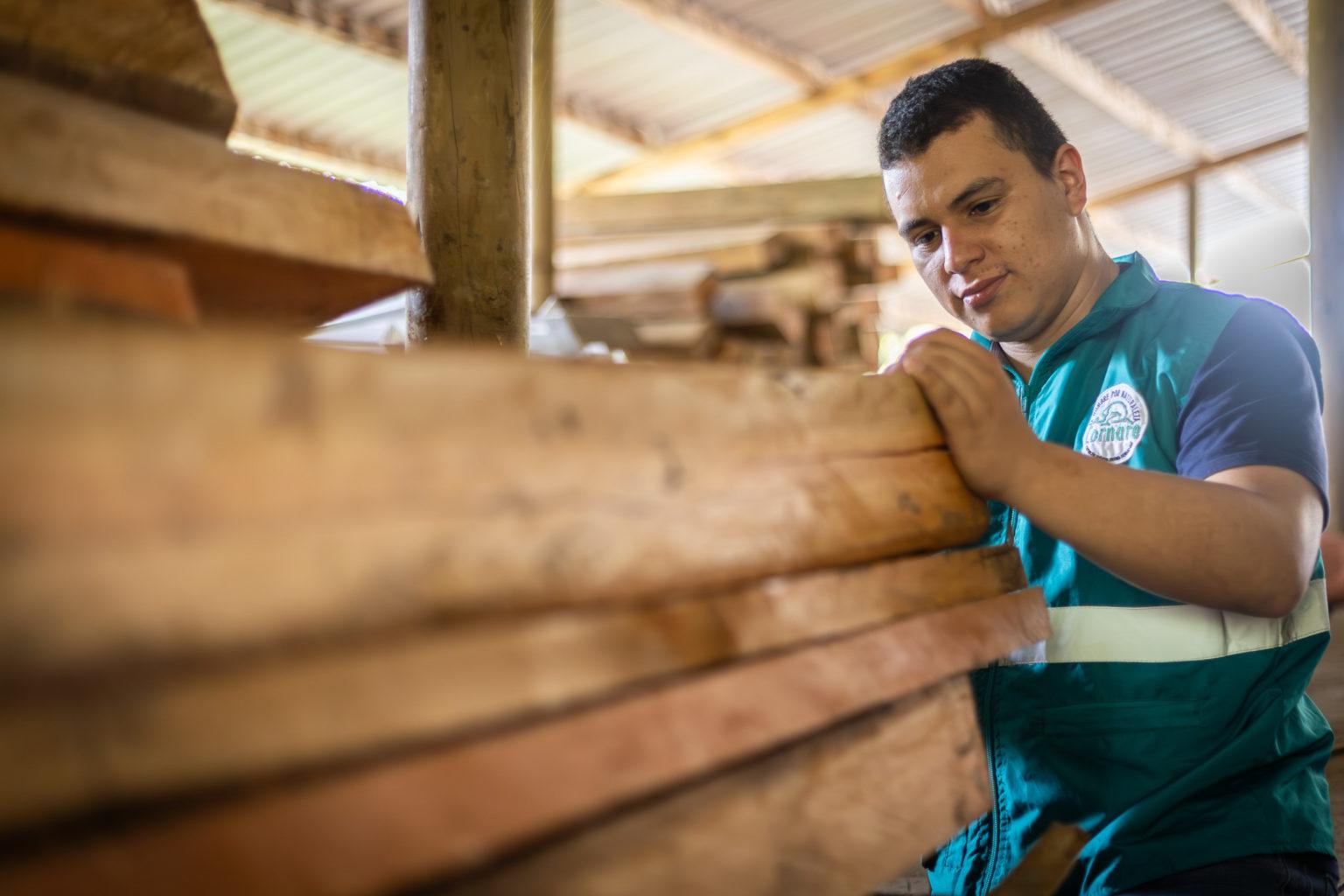 Madera decomisada: 100 metros cúbicos con fin claro